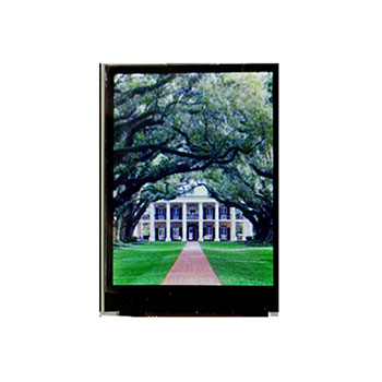 1562559803321529.jpg p12.jpg